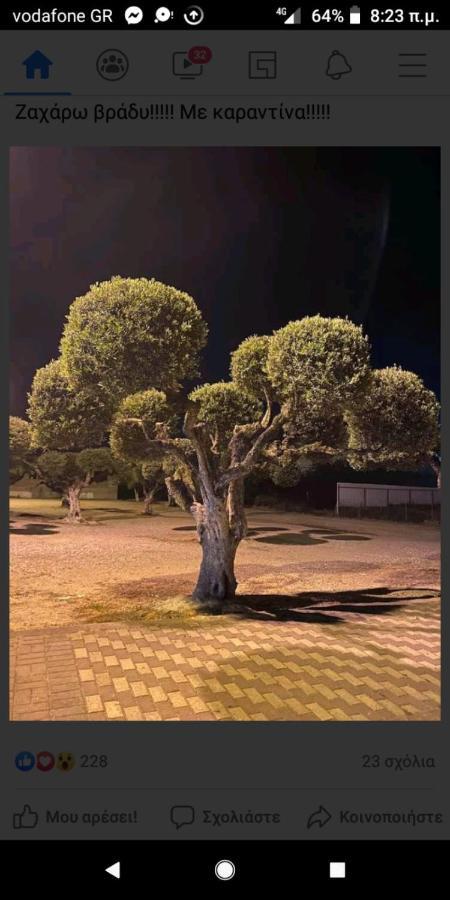 Hotel Διεθνές Zacharo Esterno foto